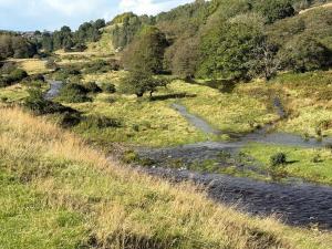 Bedwellty Lodge near BikePark Wales