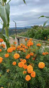 Meryem Hanım Butik Hotel