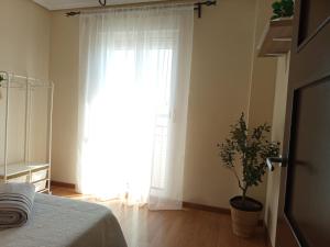 Alojamiento Los Naranjos