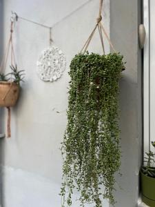 Fethiye Garden House & Private House with Garden