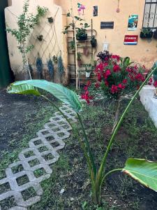 Fethiye Garden House & Private House with Garden