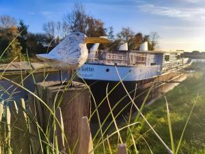 8 Personen Hausboot mit Hot Tub, Sauna, Kaminofen, Klimaanlage, Lounge, Sonnendeck und Garten mit Buddelschiff direkt hinterm Deich in Otterndorf