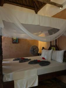 Sazani Beach Lodge and Tidal Lounge