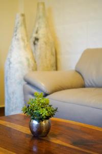 Hacienda la floresta