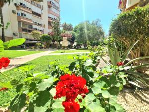 Las Gaviotas Suit - HOME RENT MALAGA