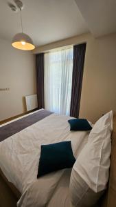 Arkhi Kokhta Bakuriani Apt 304