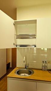 Arkhi Kokhta Bakuriani Apt 304