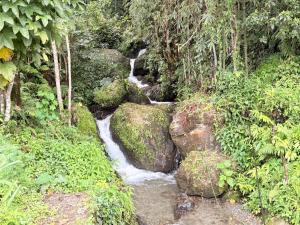 Travelites Hill Stay