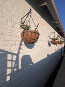 Cosy Cottage Greenside