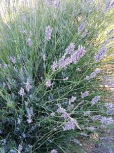 Domaine Tombarel - Agritourisme