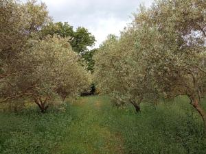 Domaine Tombarel - Agritourisme