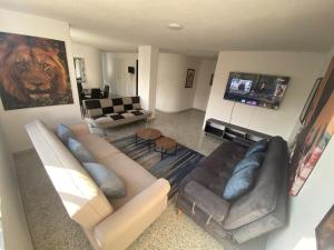 Cali sur ubicación Premiun