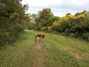 Domaine Tombarel - Agritourisme