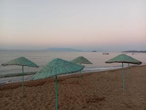 İda Life Detached Villa with Pool