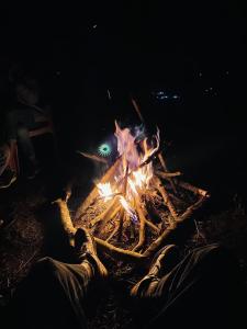The Sunset Canopy Coorg homestay