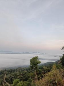 The Sunset Canopy Coorg homestay