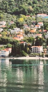 Apartmani Krivokapic