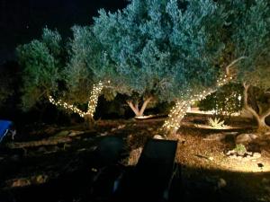 Trullo villa I Melograni