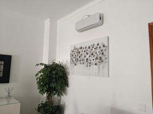 Blue Boat House - The Atlantic Breeze