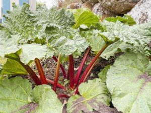 8 person holiday home in Tvååker-By Traum