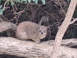 San Lameer beach golf estate Luxury 4 bed villa 14207