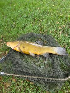 Dom nad jeziorem- Zakatek Mala