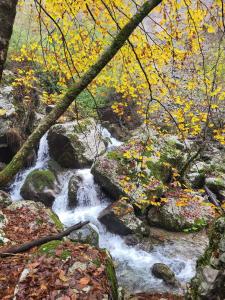 Caissa - Spacious house in quiet location