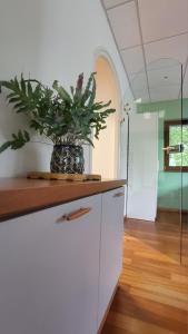 Caissa - Spacious house in quiet location