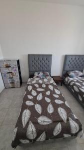 Apart F3 in Tipaza, 10 mins from the beach