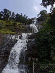 Jungle View Homestay Anakulam
