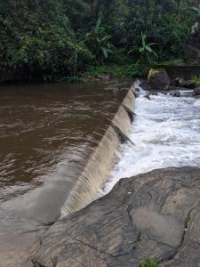 Jungle View Homestay Anakulam