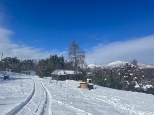Cabaña Recinto Valle Las Trancas