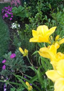 Giardino Sospeso Agriturismo