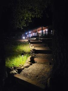 Lake Cabin on 10Acres w Seasonal Waterfront Views