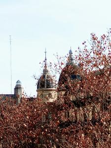BUENOS AIRES ENTRE CUPULAS silencioso centrico