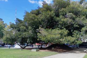 BUENOS AIRES ENTRE CUPULAS silencioso centrico