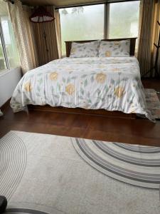 Medalin Harmony Nest