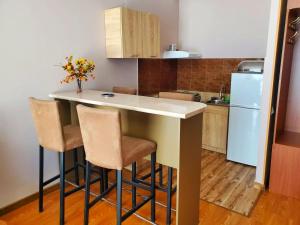 Comfortable Flat in City Center