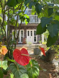 Doranagala Holiday Cabin