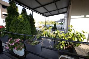 Apartment Babache
