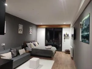 Evdo Apartments F4 modern room