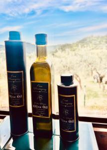 Casa Hemingway, Near Assisi