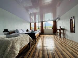 SUA Luxury Arenal Volcano View Apartments