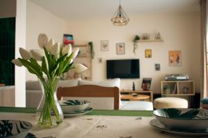 Olivers Cozy and Spacious Apt