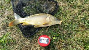 Welcome to Kashubia in the heart of Kashubia