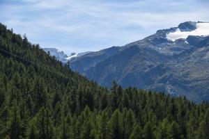 Cabin in front of Grand Paradis and Arolla