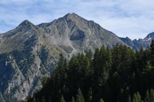 Cabin in front of Grand Paradis and Arolla