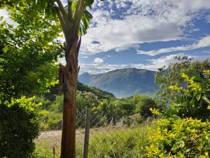 Quinta AM Vacaciones y Turismo