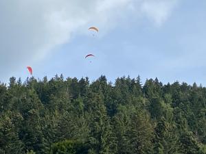 Le souffle des sapins