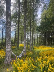Stuga lilla Vilången